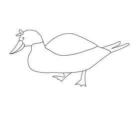 Cartoon wild duck black and white clipart