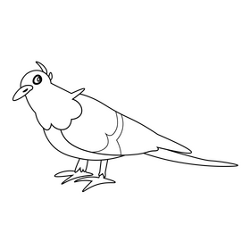 Pigeon drawing black and white clipart