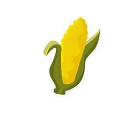 Free corn clipart