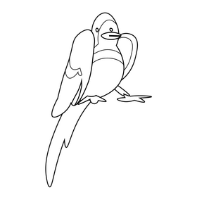 Pigeon sitting black and white clipart