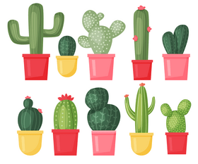 Potted cactus plants vector