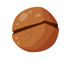 Cartoon hazelnut, filbert nut clipart