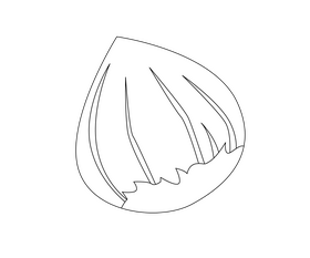Hazelnut, filbert nut black and white clipart