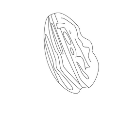 Brazil nuts black and white clipart
