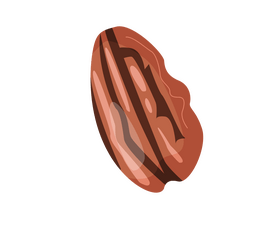 Brazil nuts clipart