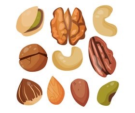 Various nuts and seeds vector