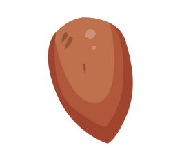Almond nut clipart