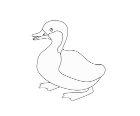 Cartoon duck black and white clipart