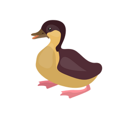 Cartoon duck clipart