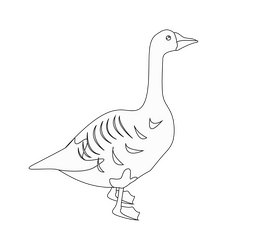 Cartoon goose black and white clipart