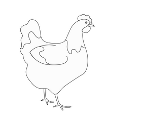 Cartoon chicken black and white clipart