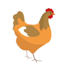 Cartoon chicken clipart