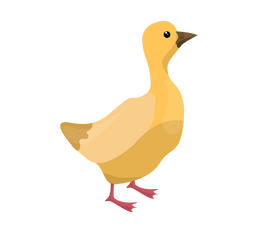 Duck drawing clipart