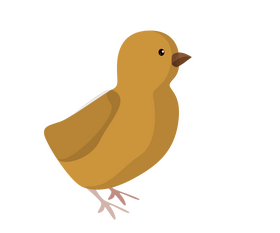 Cartoon chicks clipart