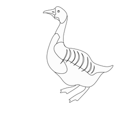 Goose illustration black and white clipart