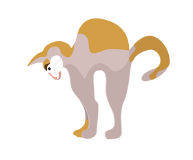 Cat cartoon clipart
