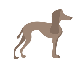 Cartoon dog clipart