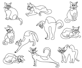 Cats black and white vector