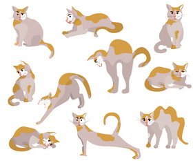 Cats vector