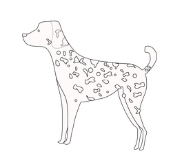 Dalmatian dog, white dog with black spots black and white clipart