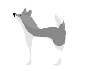 Dog clipart