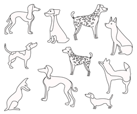 Dogs breeds black and white vector