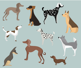 Dogs breeds vector