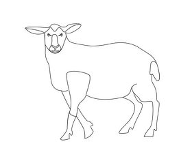 Cute sheep black and white clipart