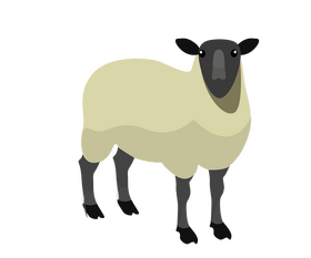 Sheep drawing clipart