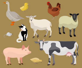 Pets, domestic animals vector
