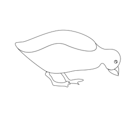 Baby duck illustration black and white clipart