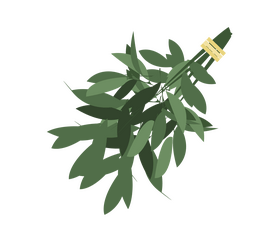 Russian bath broom clipart