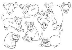 Possum cartoon set black and white vector