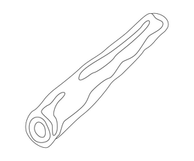 Cookie straw illustration black and white clipart