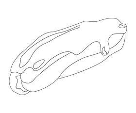 Cartoon eclair black and white clipart