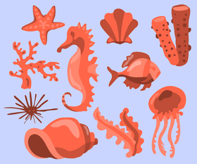 Sea life, marine animals vector