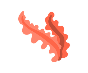 Seaweed clipart