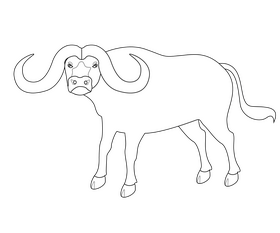 Cartoon buffalo black and white clipart