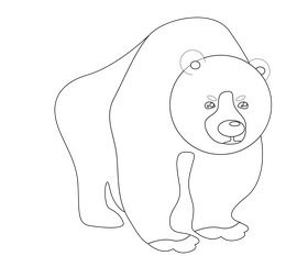 Bear illustration black and white clipart