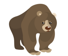 Brown bear illustration clipart