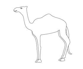 Camel free black and white clipart