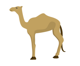 Camel clipart free download