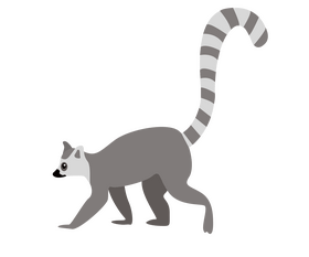 Lemur clipart free download