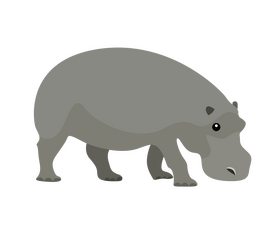 Hippopotamus clipart