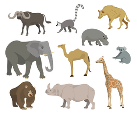 Forest wild animals vector