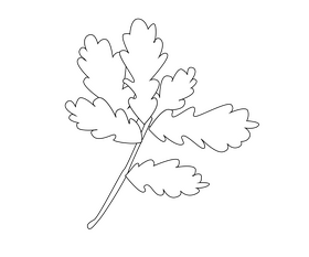 Free tree leaves black and white clipart