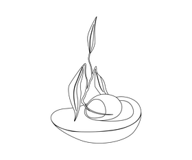 Avocado cut half drawing black and white clipart