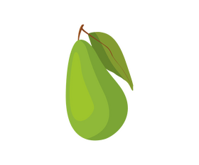 Avocado illustration clipart
