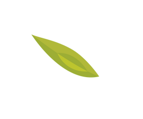Avocado slice clipart