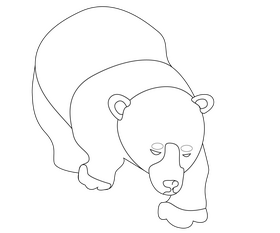 Bear black and white clipart